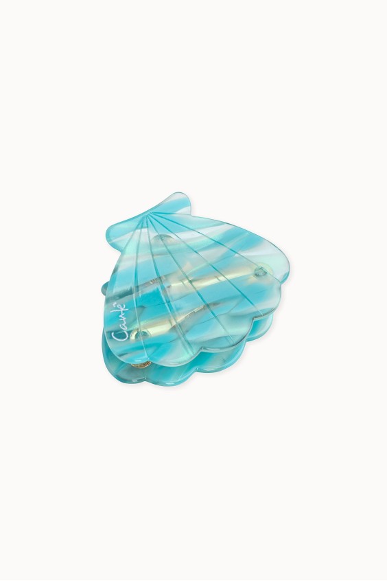 MOLA V4
