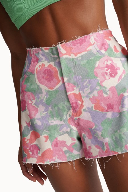 PISTACHIO SHORTS V2