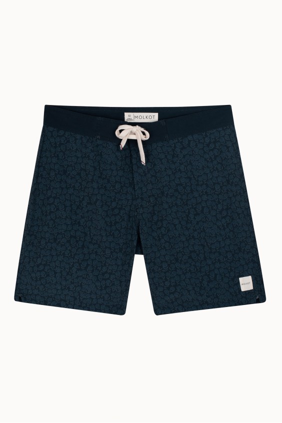MENS BOARDSHORTS SWELL V4