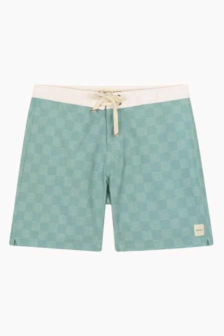 MENS BOARDSHORTS SWELL V7
