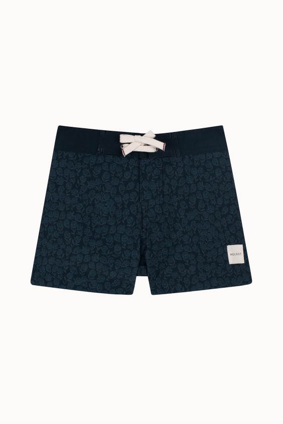 MENS BOARDSHORTS MINI SWELL V4