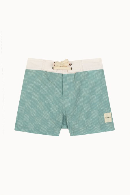 MENS BOARDSHORTS MINI SWELL V2