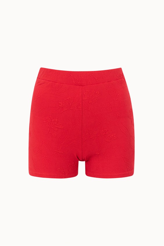 JENNY SHORTS V4